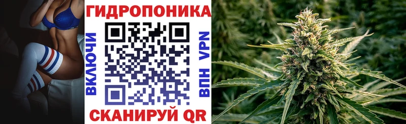 Бошки марихуана семена  Енисейск 
